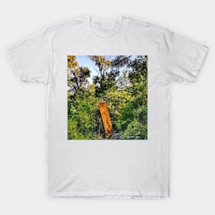 If A Tree Fell In The Woods T-Shirt